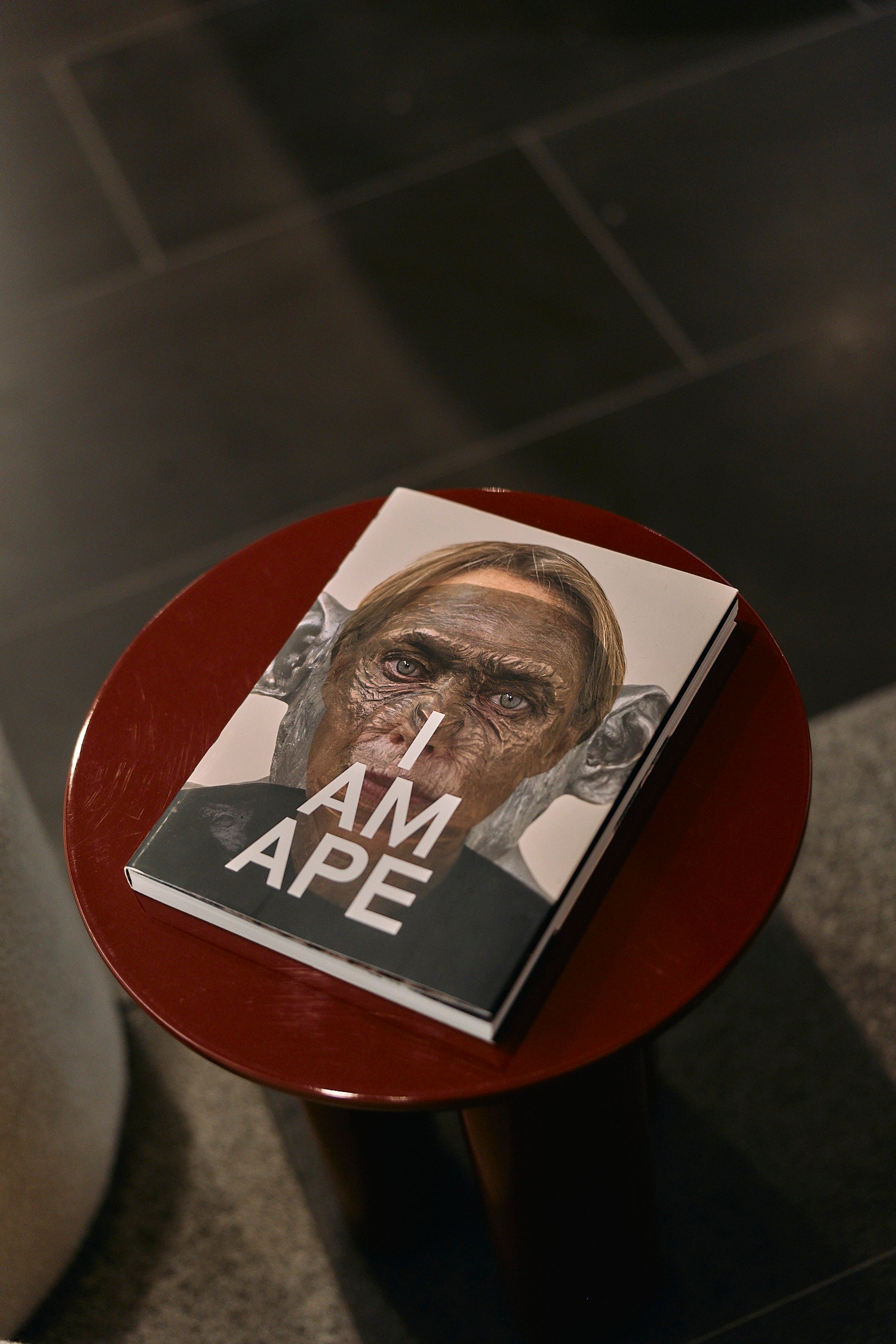 I AM APE Self Published Book
