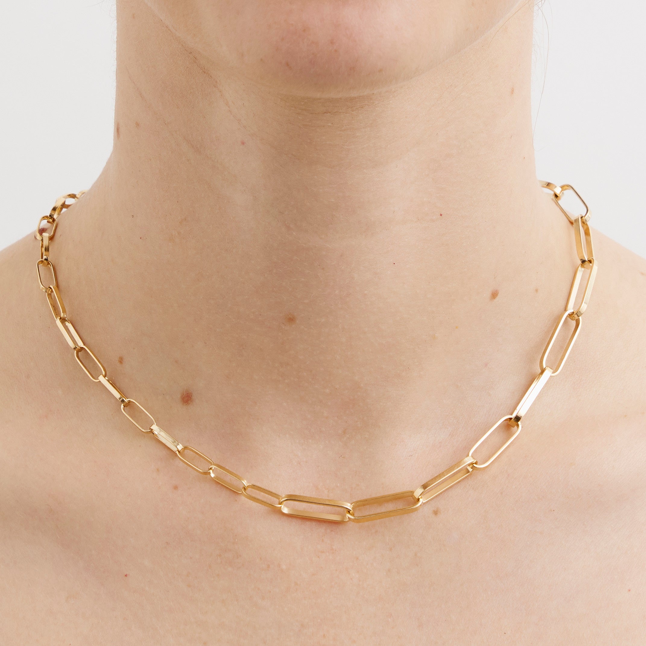 Mixed Link Necklace