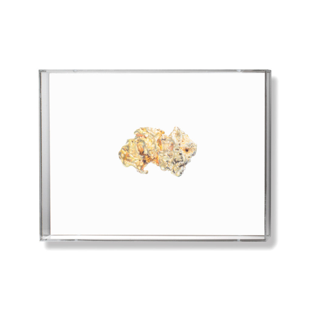 Gold Nugget Illustration