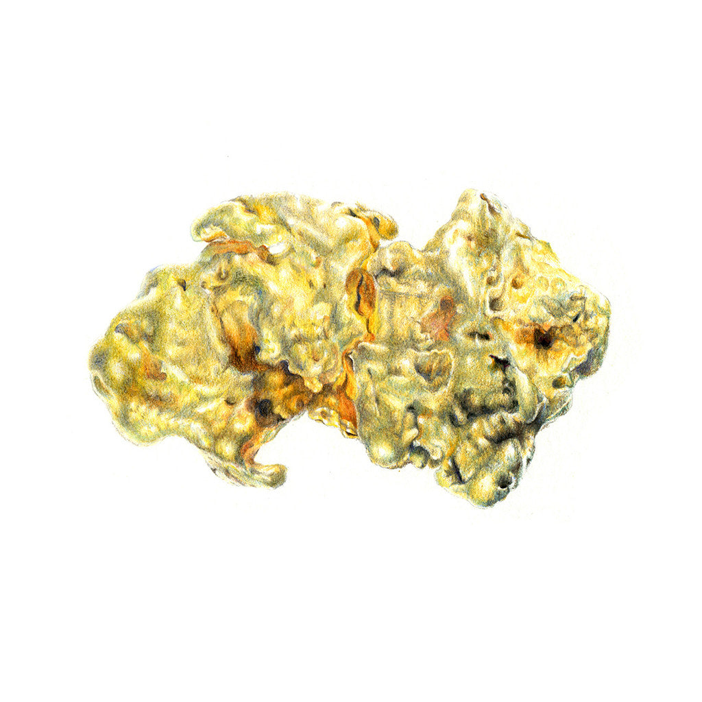 Gold Nugget Illustration