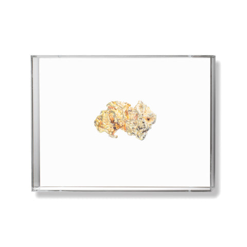 Gold Nugget Illustration by Anna Marrone