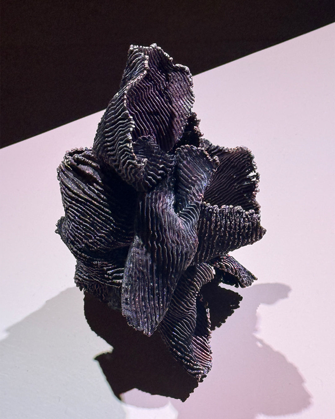 Exploring Michaela Pegum's 'Familiars'