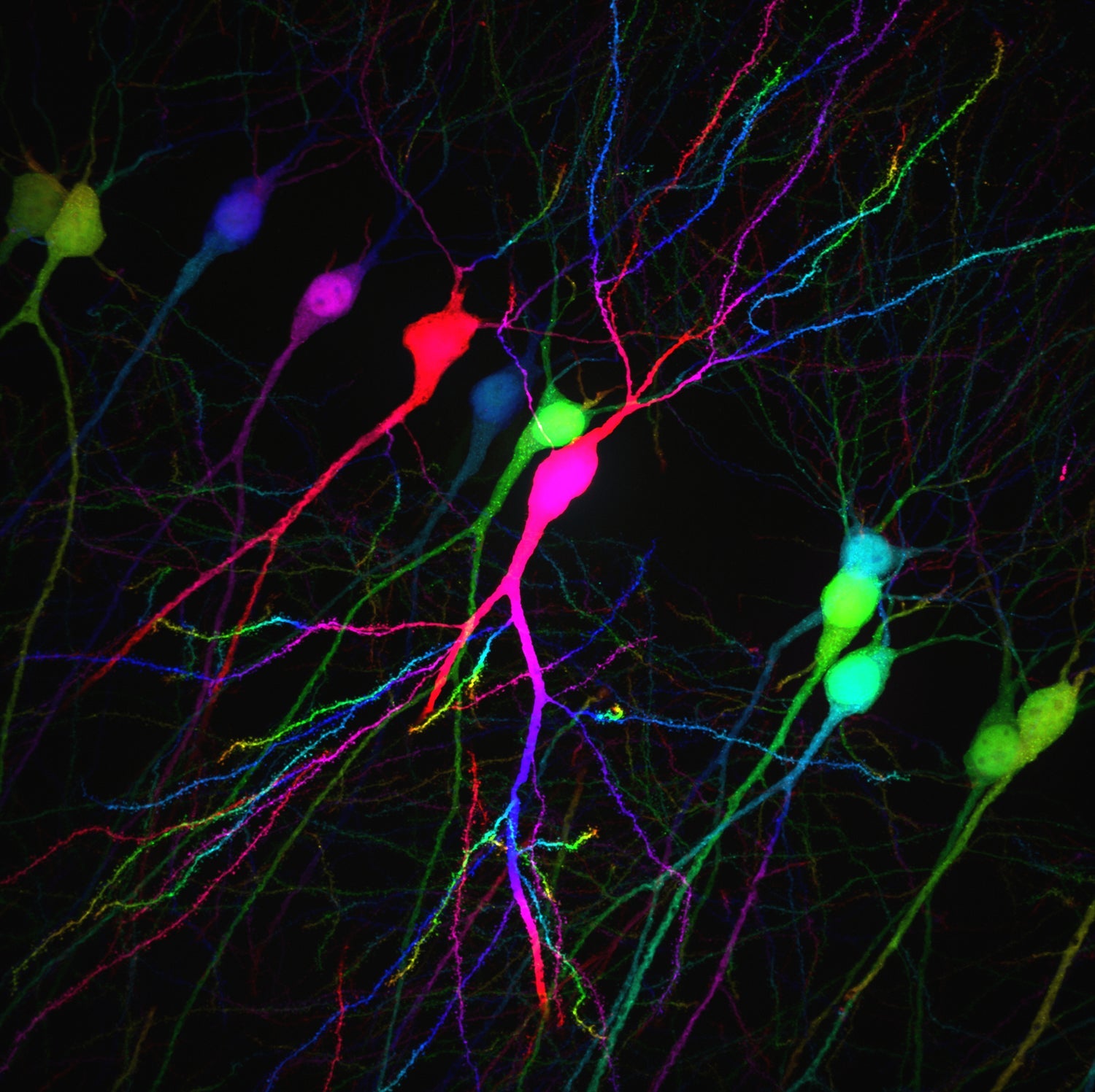 Patterns and Textures That Remind Us What It Is To Be Human: Luke Maninov Hammond