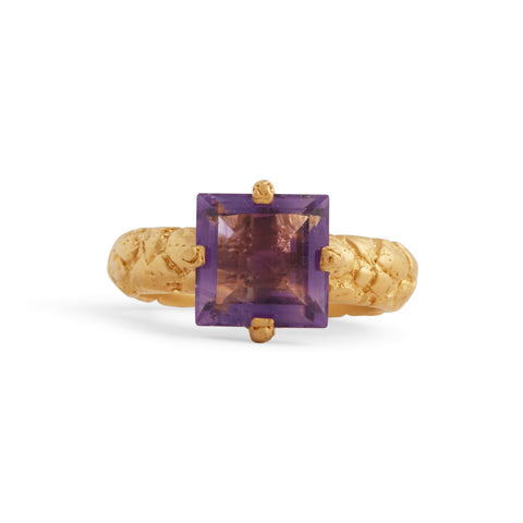 Amethyst Orangutan Skin Ring by Lisa Roet