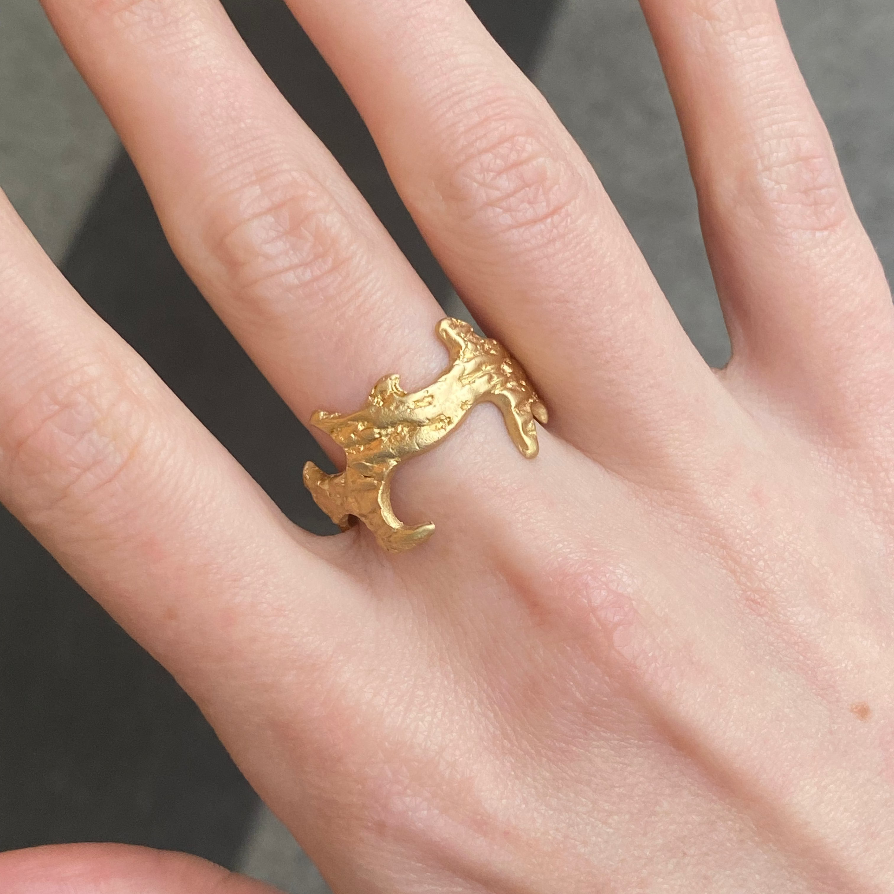 Cut Out Ring