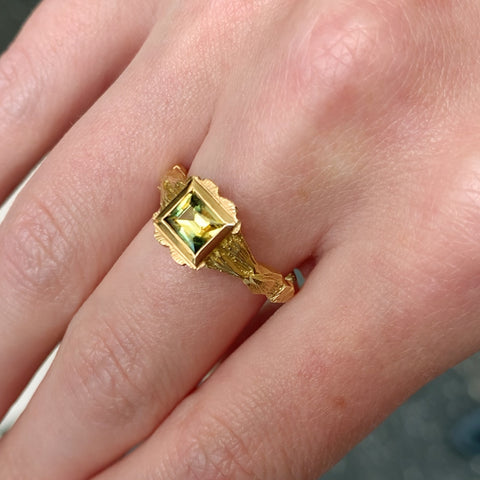 Corymbia Ring