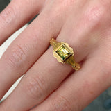 Corymbia Ring
