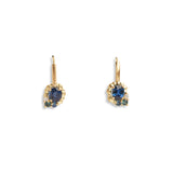 Rockpool Hook Earrings