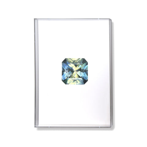 Parti Sapphire Gem Illustration