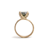 Alex Ring